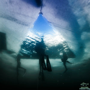 Freediving under Ice - 21.-23.02.2025