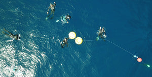 Freediving Training Camp - Teneriffa - 19.04 - 28.04.2024